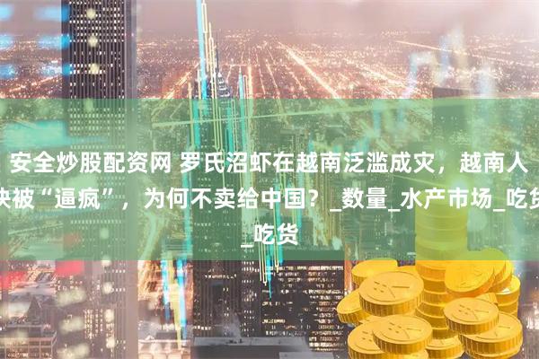 安全炒股配资网 罗氏沼虾在越南泛滥成灾，越南人快被“逼疯”，为何不卖给中国？_数量_水产市场_吃货